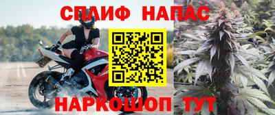 дмт Кингисепп