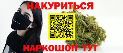 дмт Кингисепп