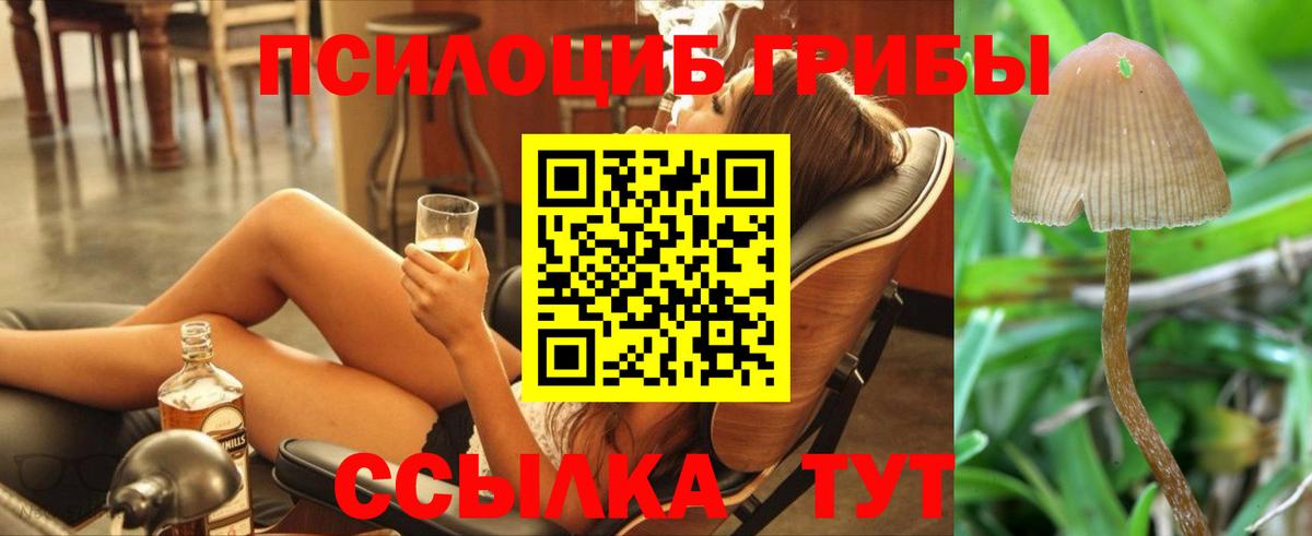 Галлюциногенные грибы мицелий  Вход с VPN  Югорск  Галлюциногенные грибы мицелий 